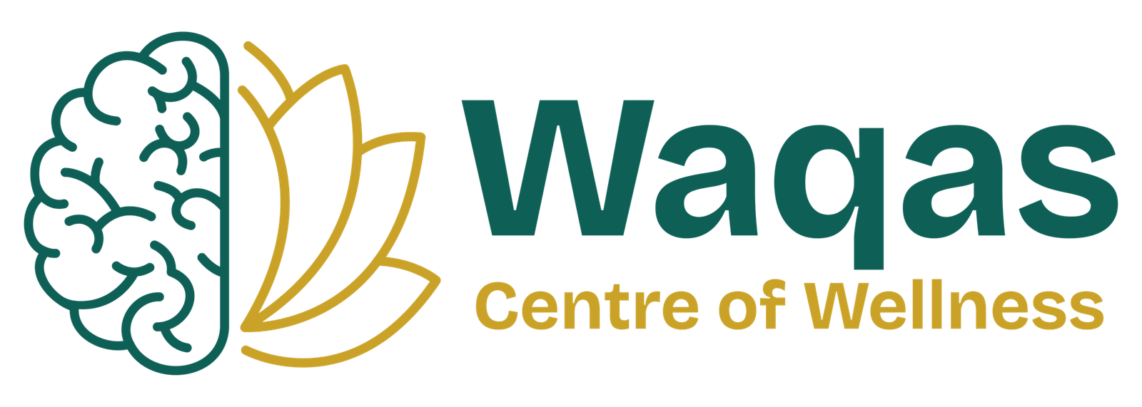 Waqas Centre Of Wellness 